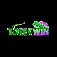 TOKEKWIN - Permainan Arcade Seru dan Menghibur